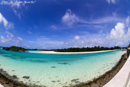 IMG_9260A.jpg
