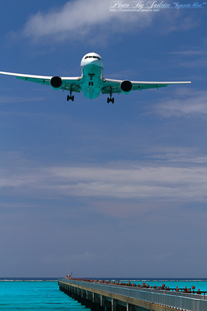 IMG_9341A.jpg