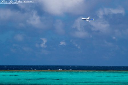 shi201208_010.jpg