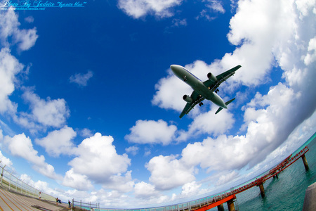 shi201208_016.jpg