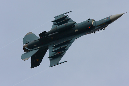 2008tsuiki_34.jpg