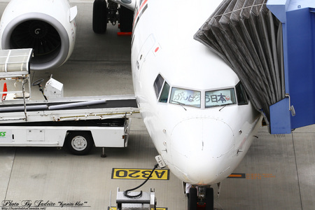 20110710centrair17.jpg