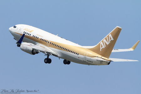 20110710centrair25.jpg