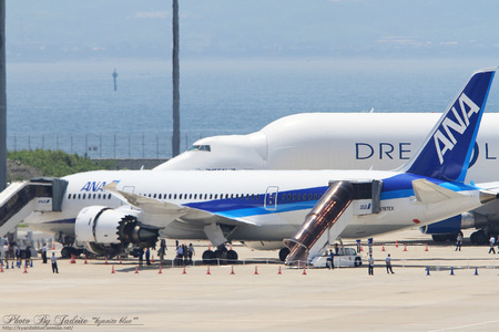 20110710centrair26.jpg