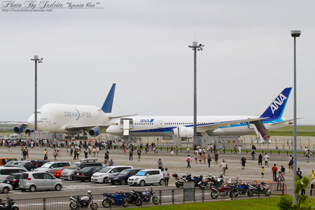 IMG_0650A.jpg