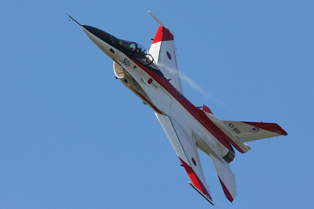 gifu2009_07.jpg