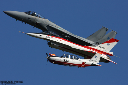 gifu2009_12c.jpg