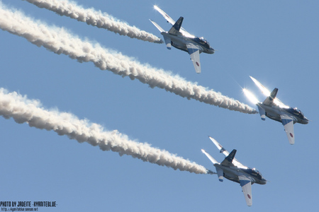 gifu2009_43c.jpg