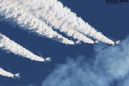 gifu2009_51c.jpg