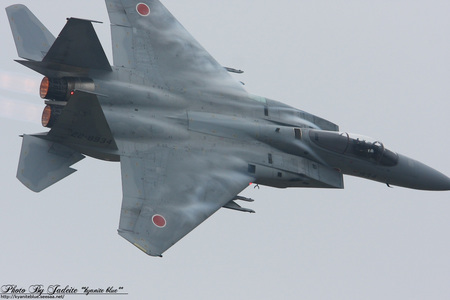 2009rjnh_069.jpg