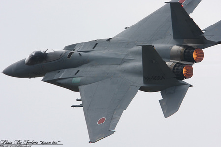 2009rjnh_071.jpg