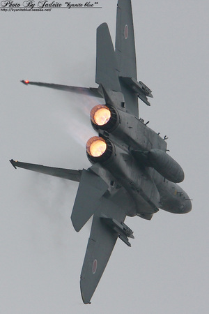 2009rjnh_074.jpg