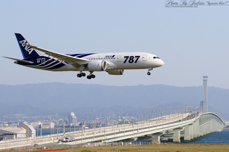 20111016kix_26.jpg