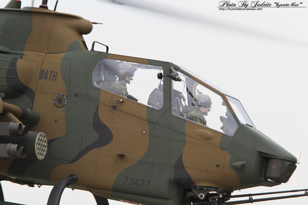 IMG_7320A.jpg