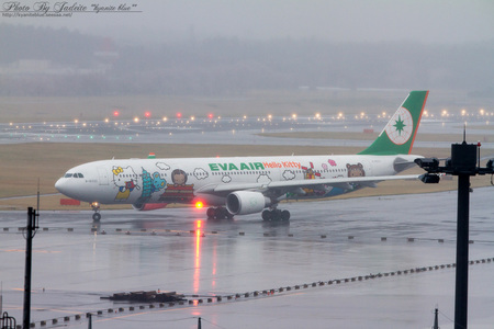 narita201204_01.jpg