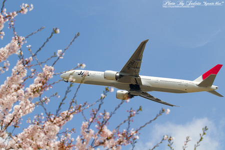 narita201204_08.jpg