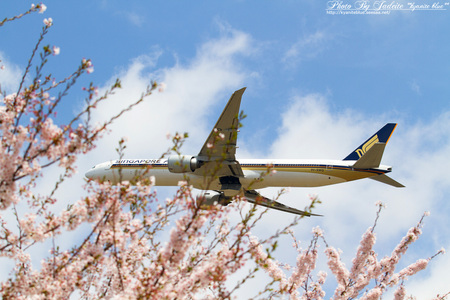 narita201204_09.jpg