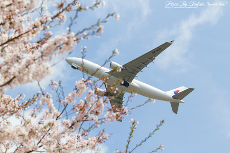 narita201204_11.jpg