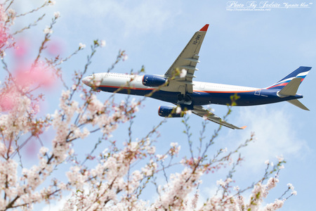 narita201204_14.jpg
