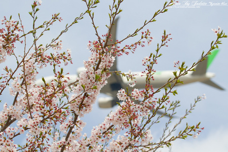 narita201204_15.jpg