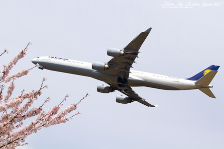 narita201204_16.jpg