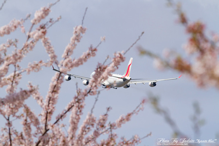 narita201204_18.jpg