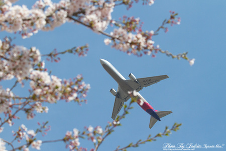 narita201204_19.jpg