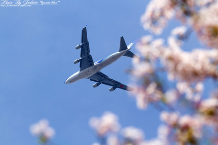 narita201204_21.jpg