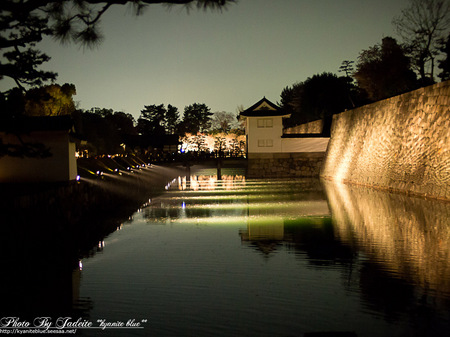 sakura2012_11.jpg