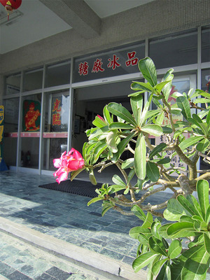 taiwan35.jpg