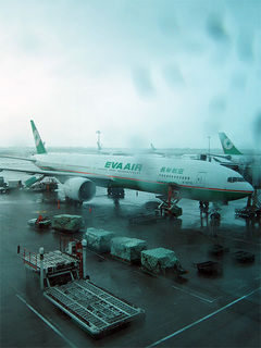 tsuiki2011_01.jpg