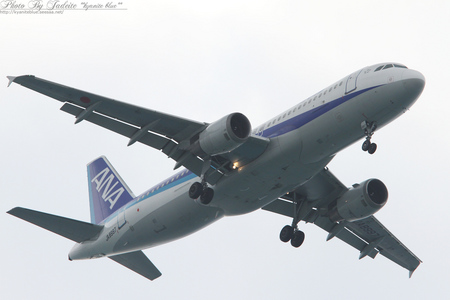 naha2010_01.jpg