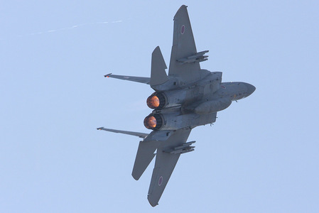 2008tsuiki_05.jpg