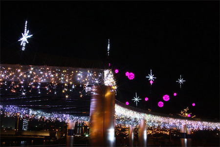 2008tsuiki_16.jpg